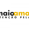 Campanha do Maio Amarelo alerta para 37 mil mortes no trânsito do país